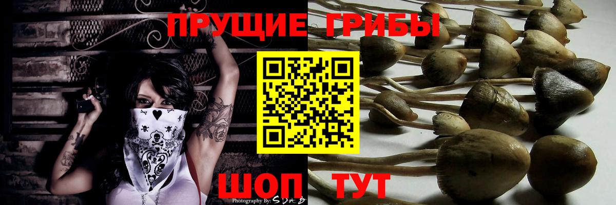 Псилоцибиновые грибы GOLDEN TEACHER Шумерля