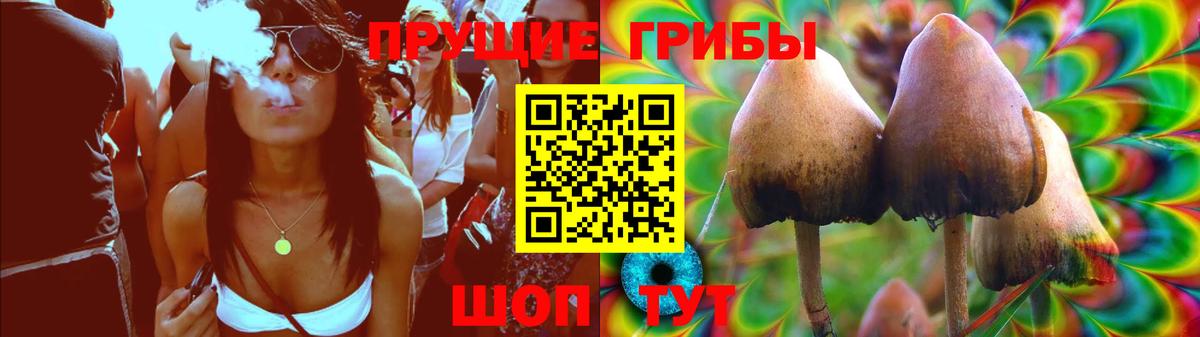 Шумерля  Псилоцибиновые грибы Cubensis  Вход с VPN 